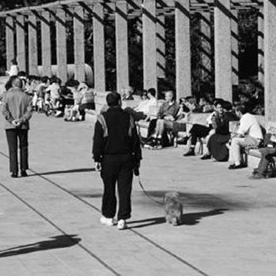 Life Between buildings